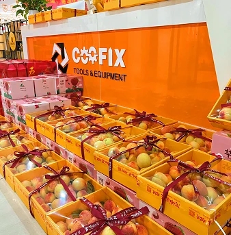 COOFIX DRAGON BOAT FESTIVAL COOFIX DRAGON BOAT FESTIVAL